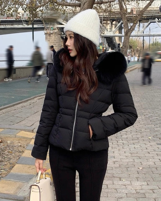 【高品質】Slim Fit Fur Hood Jacket mry002030