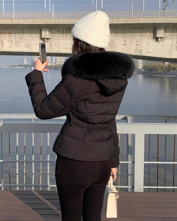 【高品質】Slim Fit Fur Hood Jacket mry002030