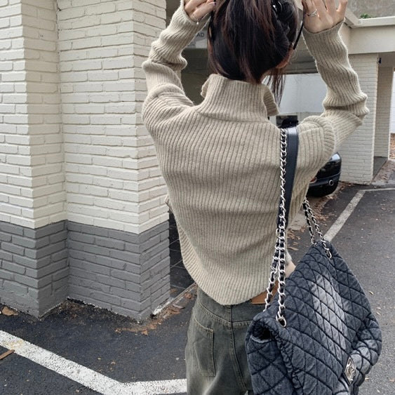 2カラー展開 韓国デザイン 韓国カジュアル ショート丈 タートルネック ジッパー付きパーカー mry001303