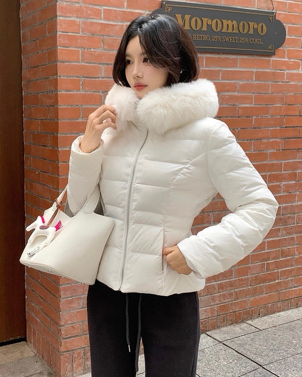 【高品質】Slim Fit Fur Hood Jacket mry002030